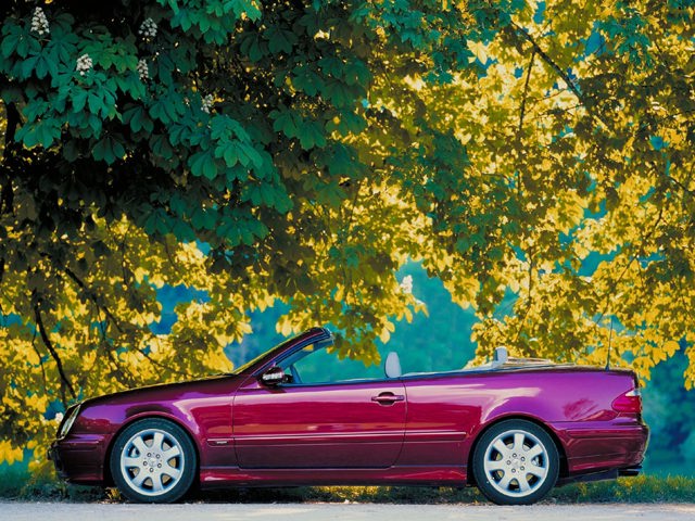Mercedes Benz E-Klasse Cabriolet And Predecessors photo 8
