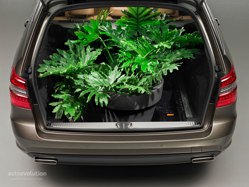 Mercedes Benz E-Klasse T-Modell photo 51