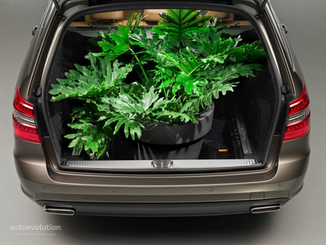 Mercedes Benz E-Klasse T-Modell photo 51