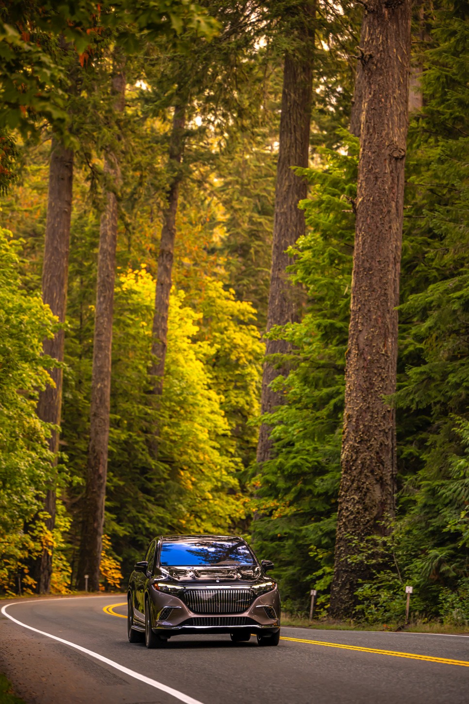 Mercedes Benz Eqs Suv Maybach photo 19