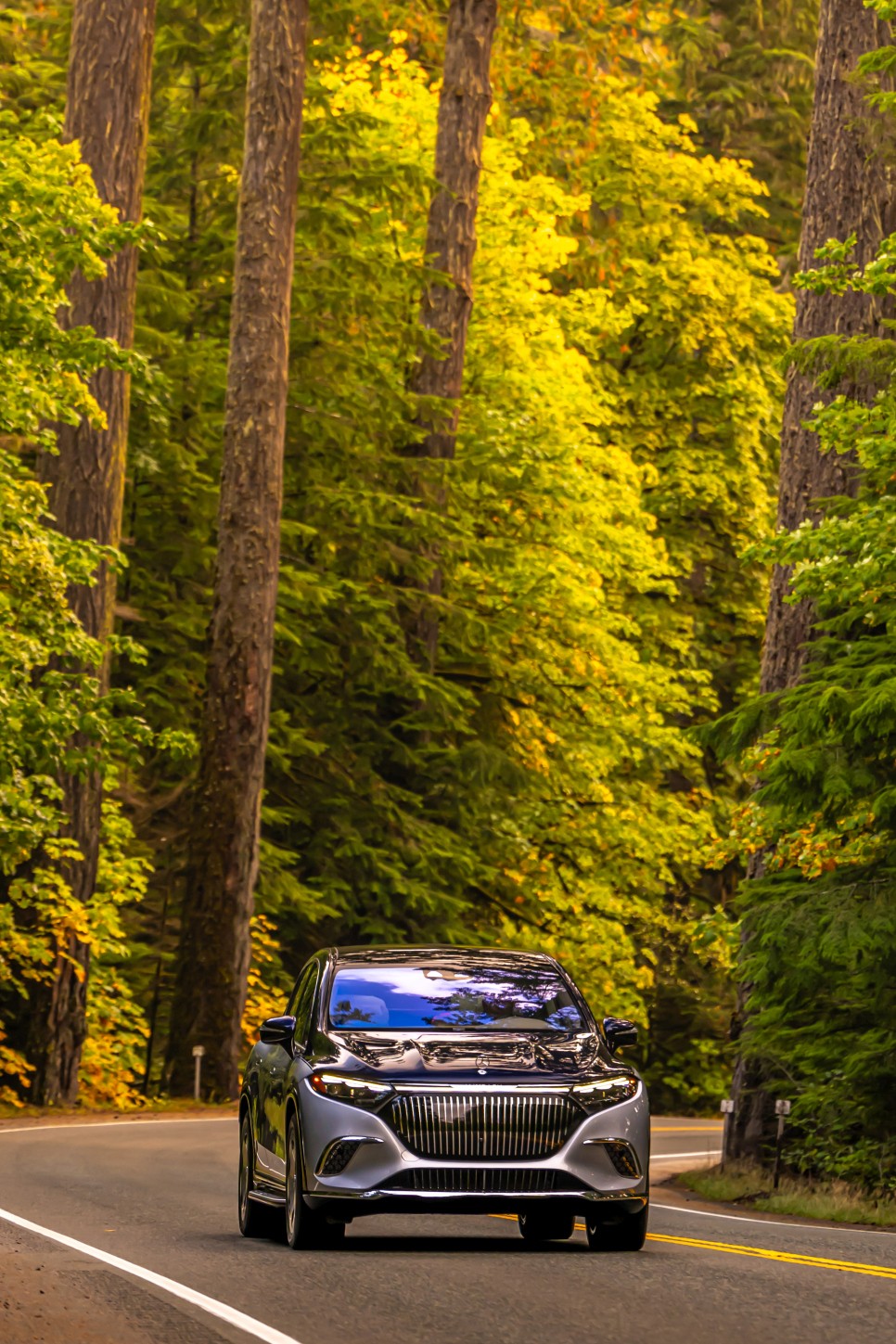 Mercedes Benz Eqs Suv Maybach photo 34