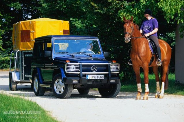 Mercedes Benz G-Klasse Kurz photo 4