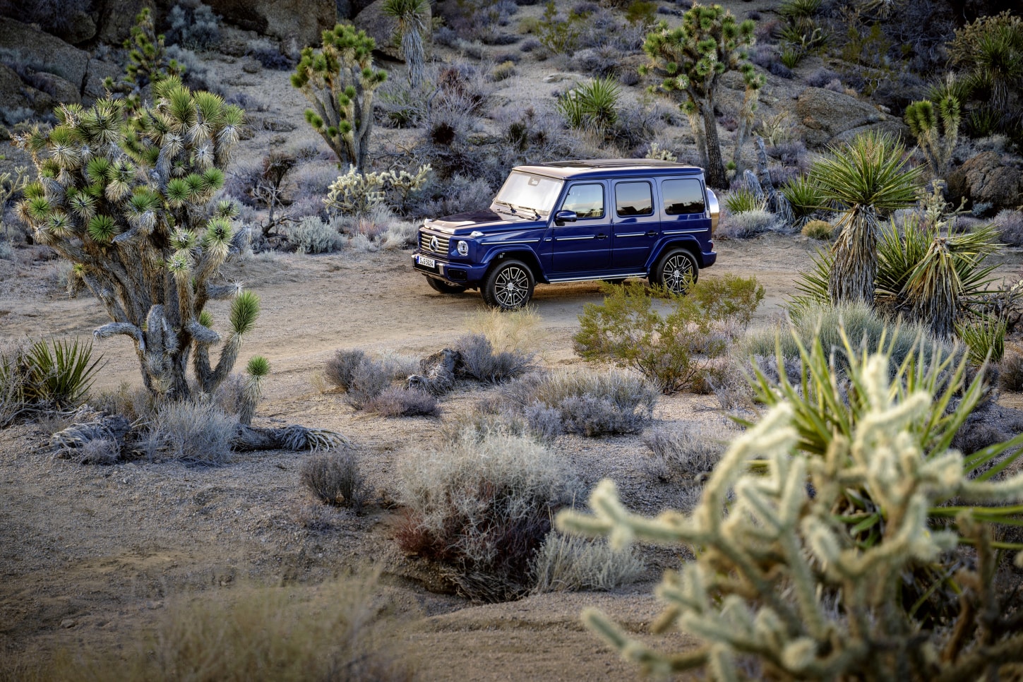 Mercedes Benz G-Klasse photo 20
