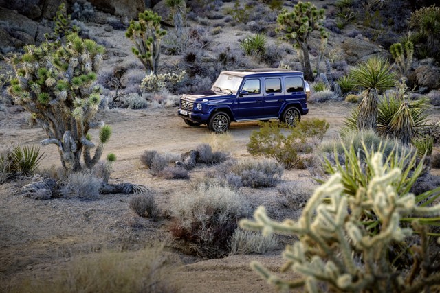 Mercedes Benz G-Klasse photo 20