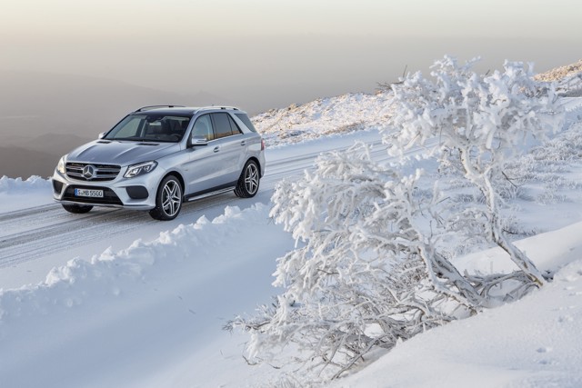 Mercedes Benz Gle-Class photo 20