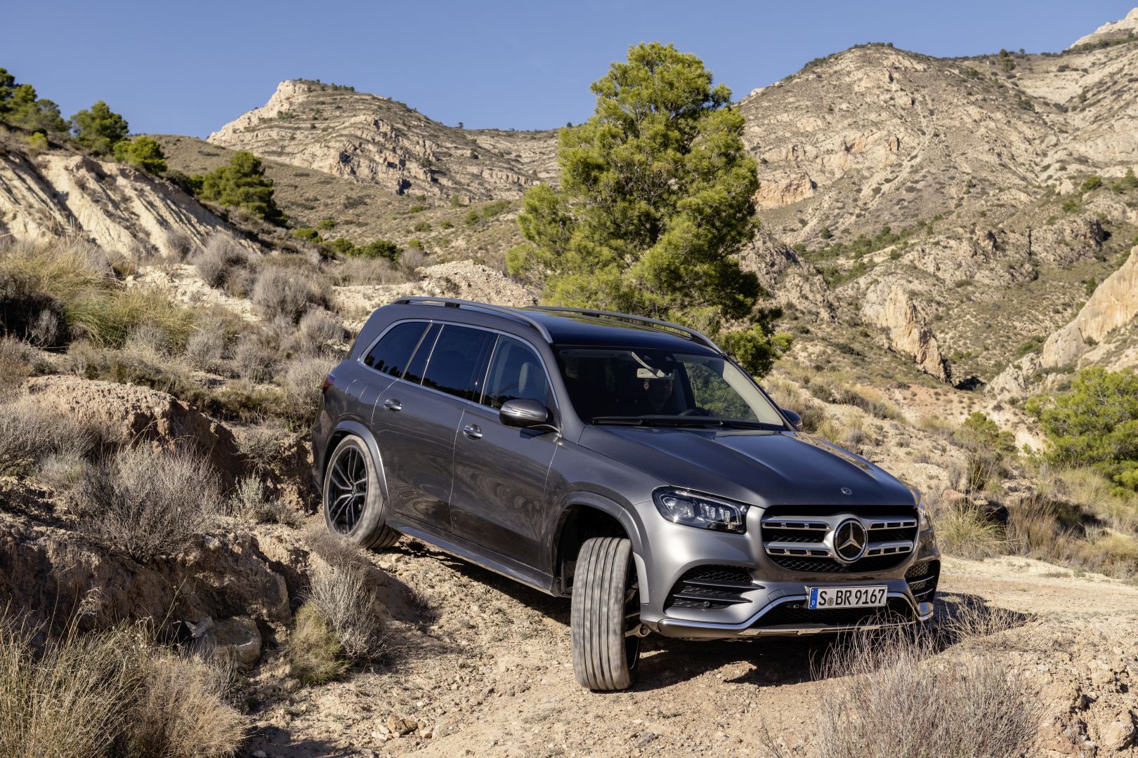 Mercedes Benz Gls-Class photo 7