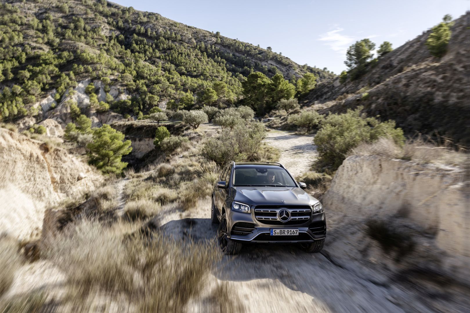 Mercedes Benz Gls-Class photo 9