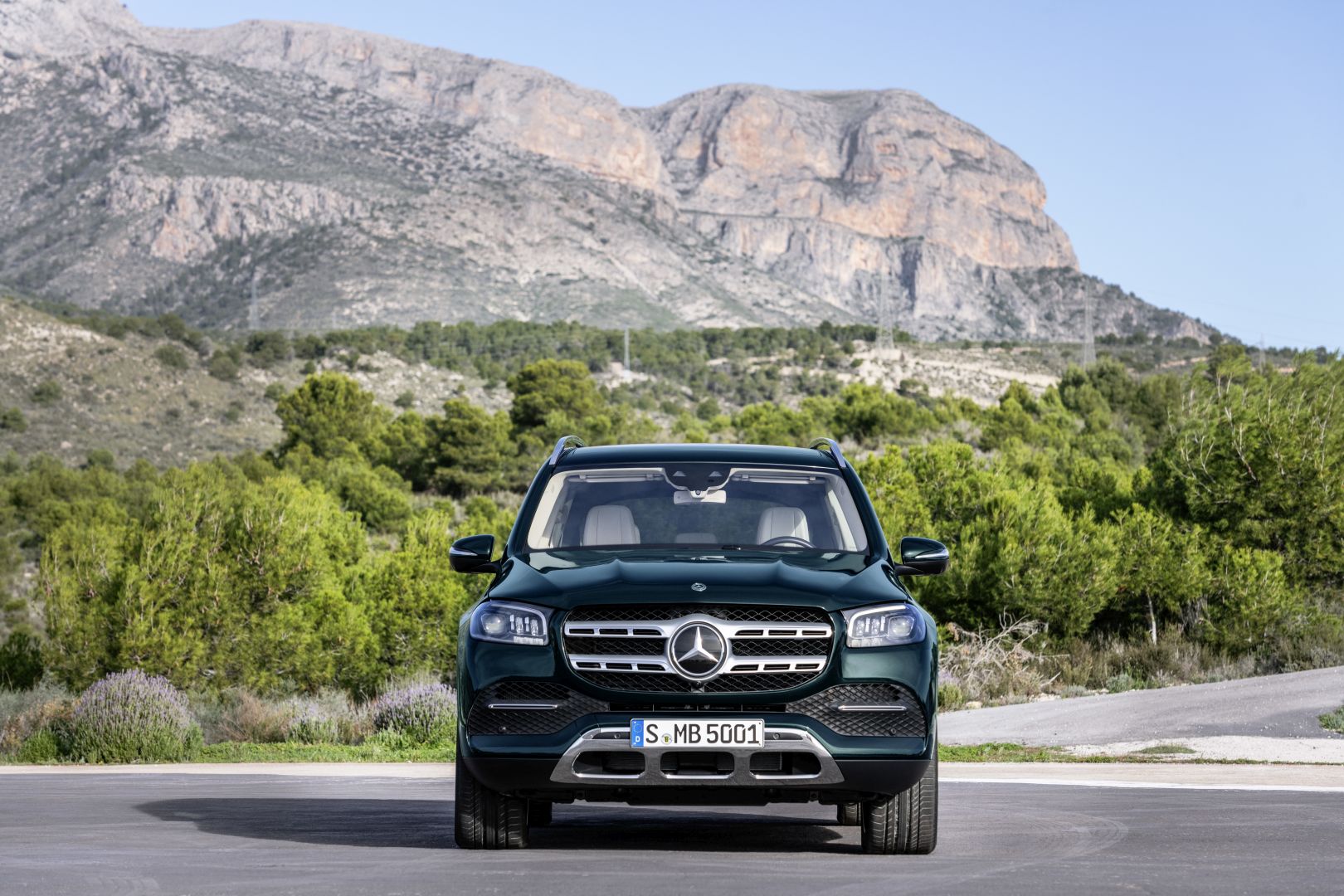Mercedes Benz Gls-Class photo 57
