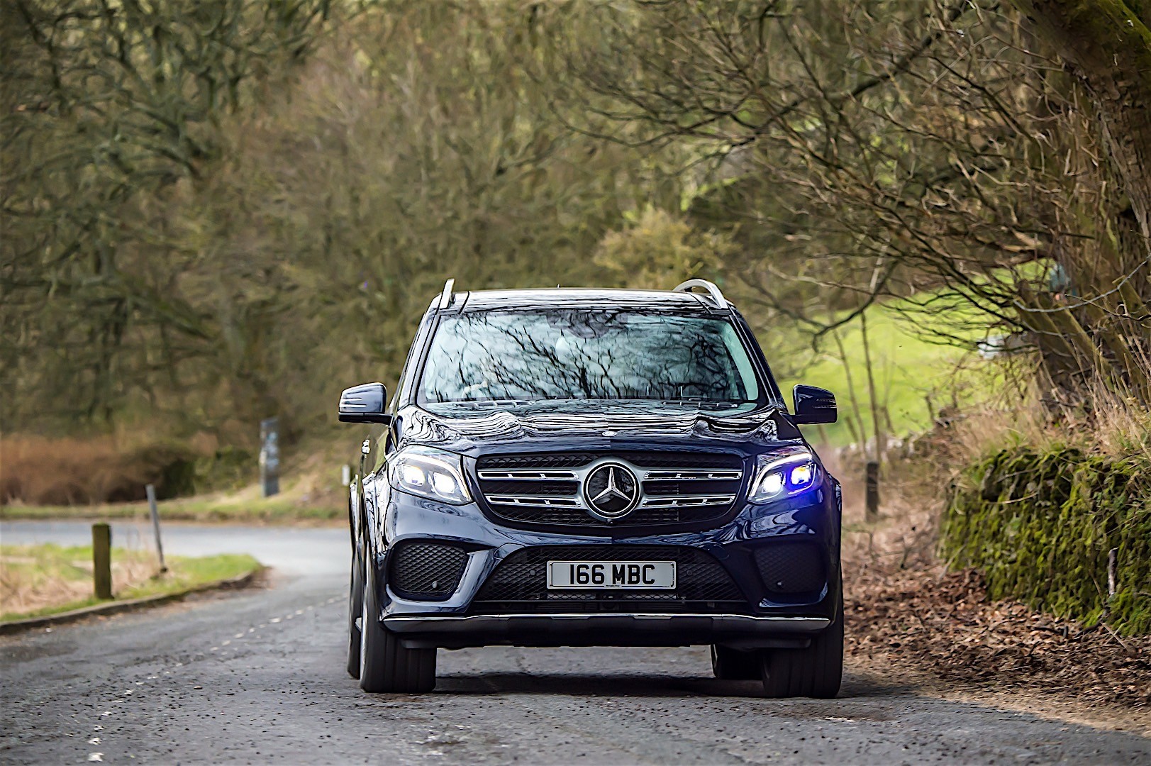 Mercedes Benz Gls-Class photo 5