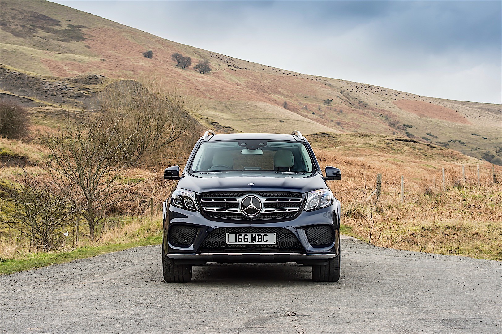 Mercedes Benz Gls-Class photo 46