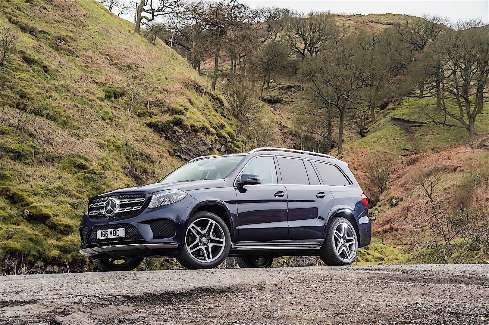 Mercedes Benz Gls-Class photo 50