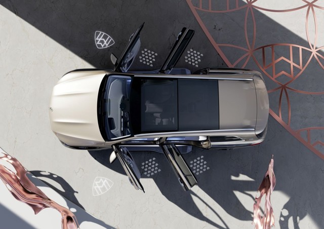 Mercedes Benz Gls Maybach photo 10
