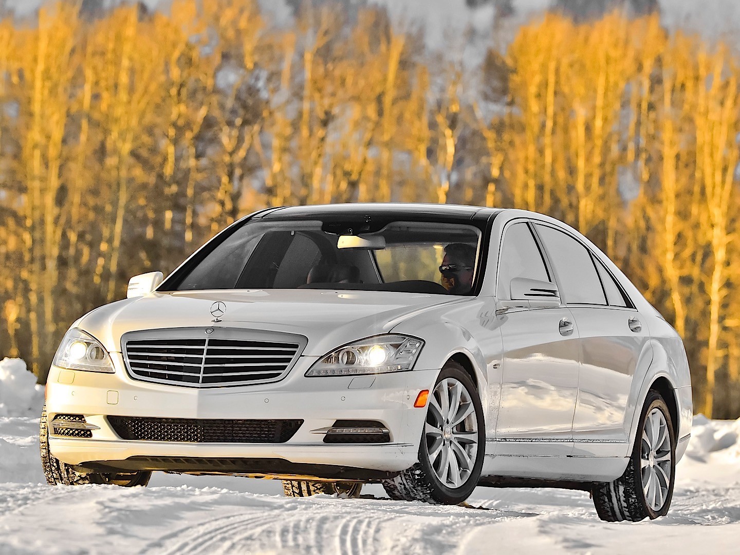 Mercedes Benz S-Klasse And Predecessors photo 23