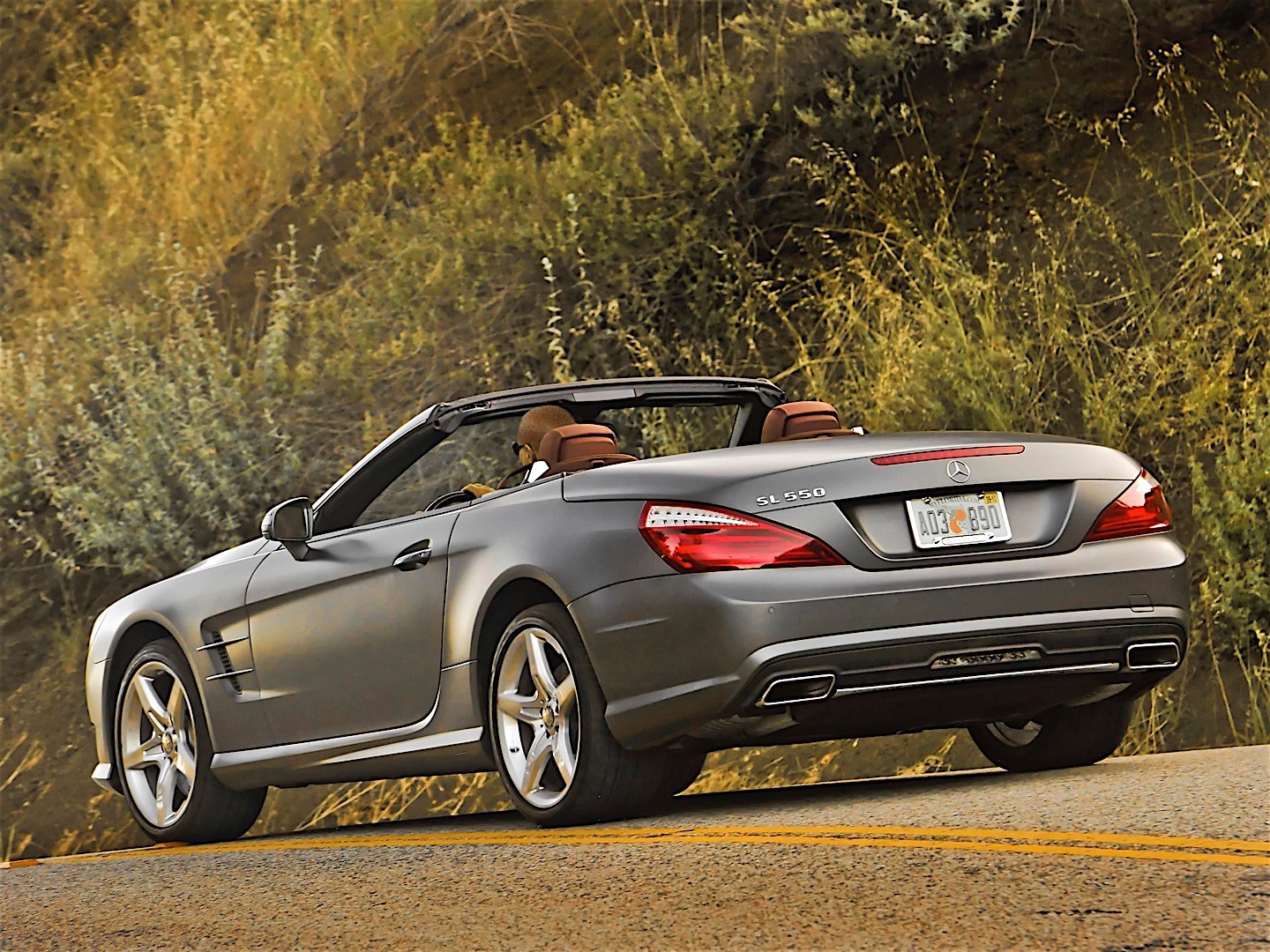 Mercedes Benz Sl-Klasse photo 40