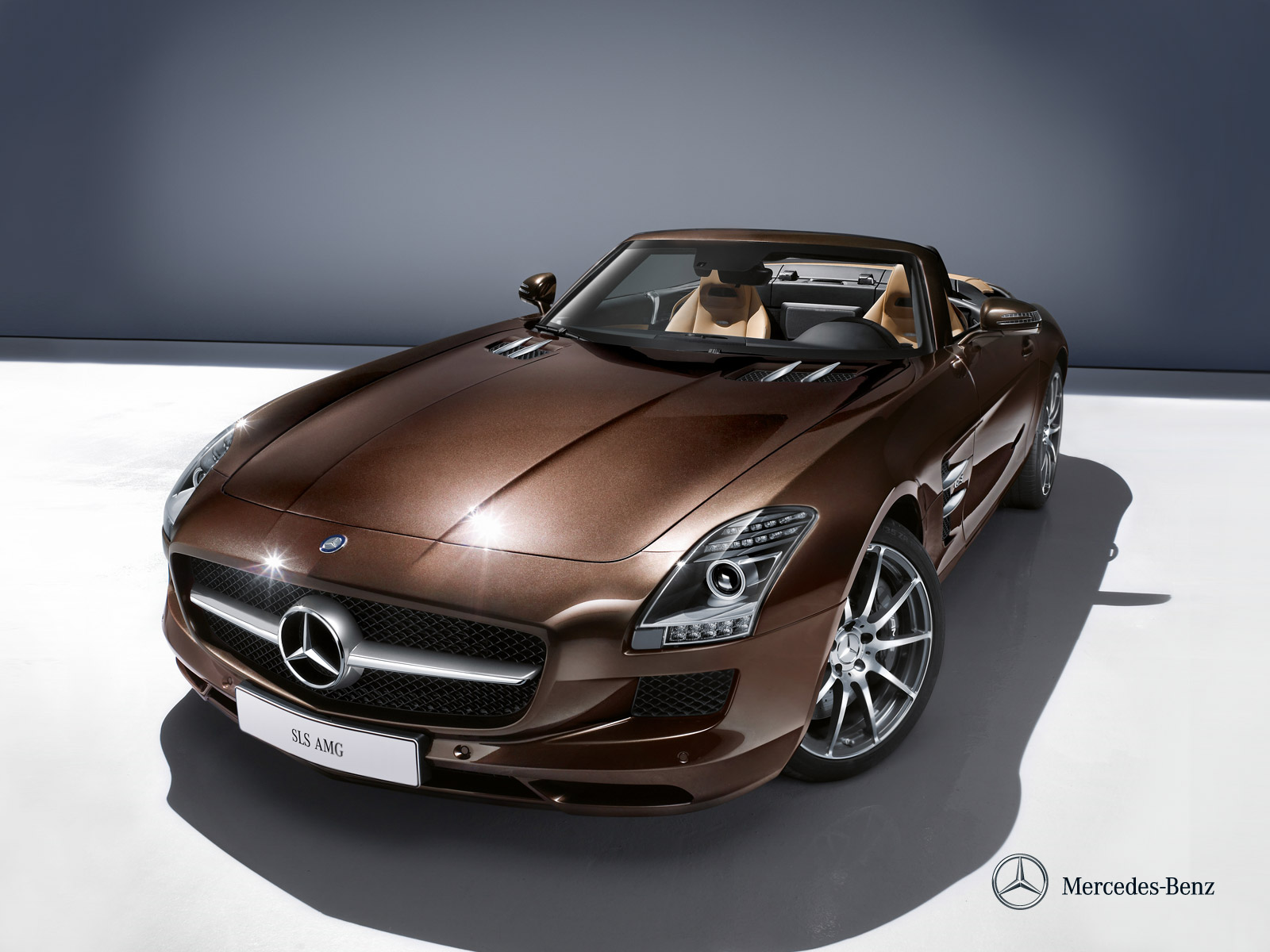 Mercedes Benz Sls Amg photo 6