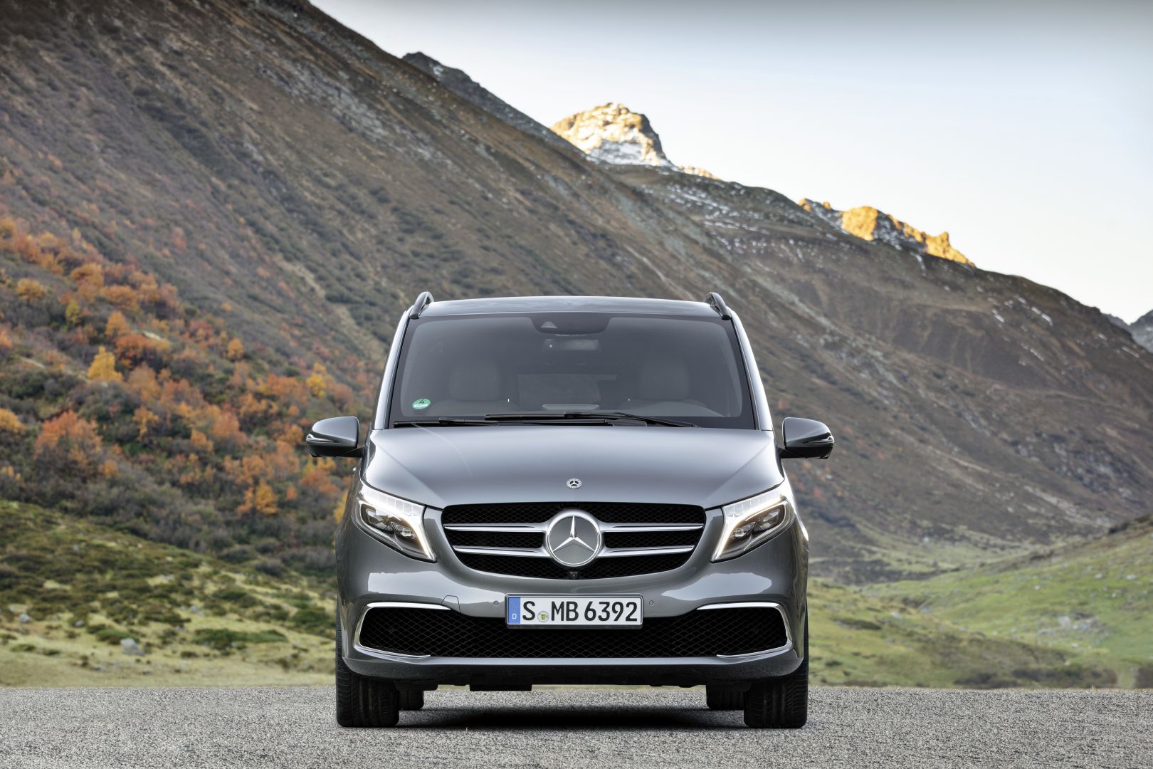 Mercedes Benz V-Class And Predecessors photo 13