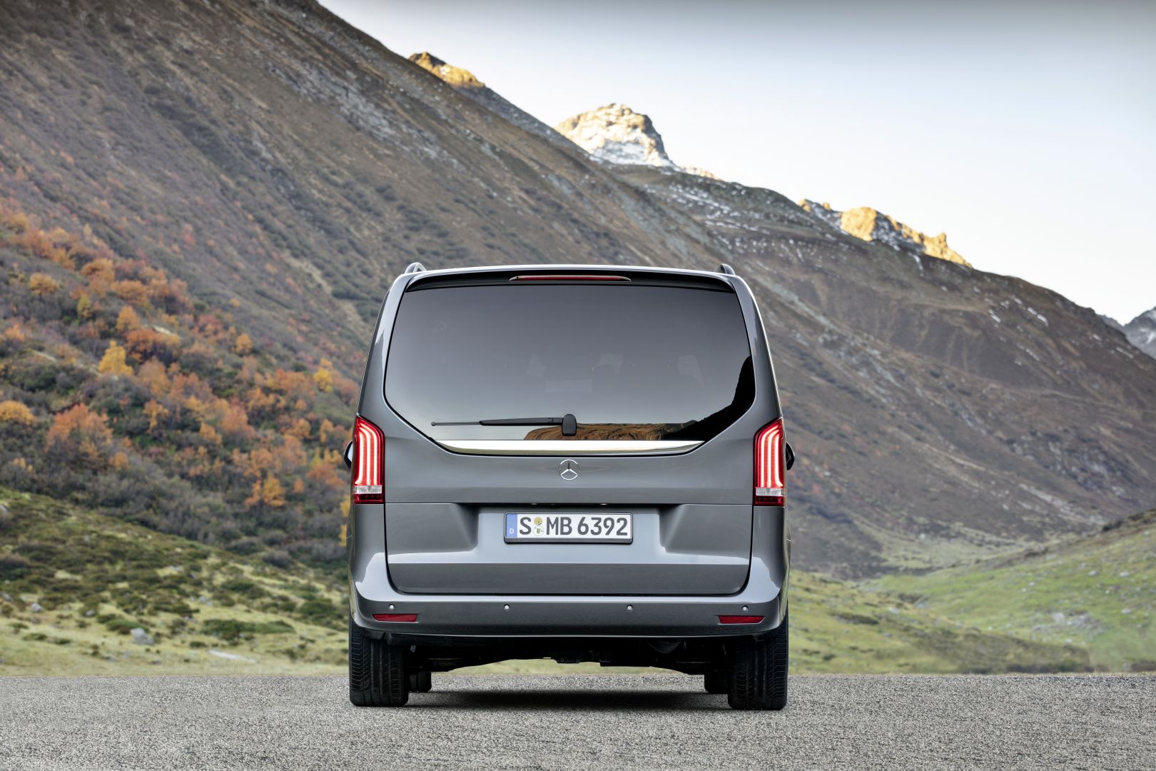 Mercedes Benz V-Class And Predecessors photo 14