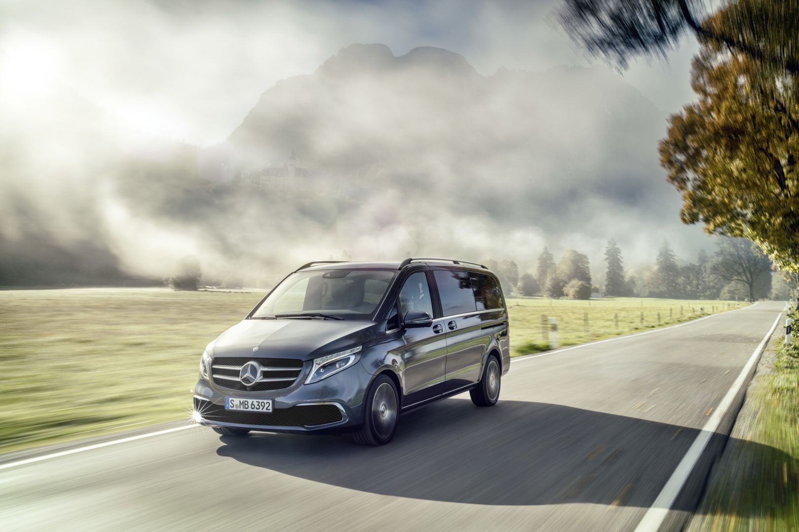 Mercedes Benz V-Class And Predecessors photo 18