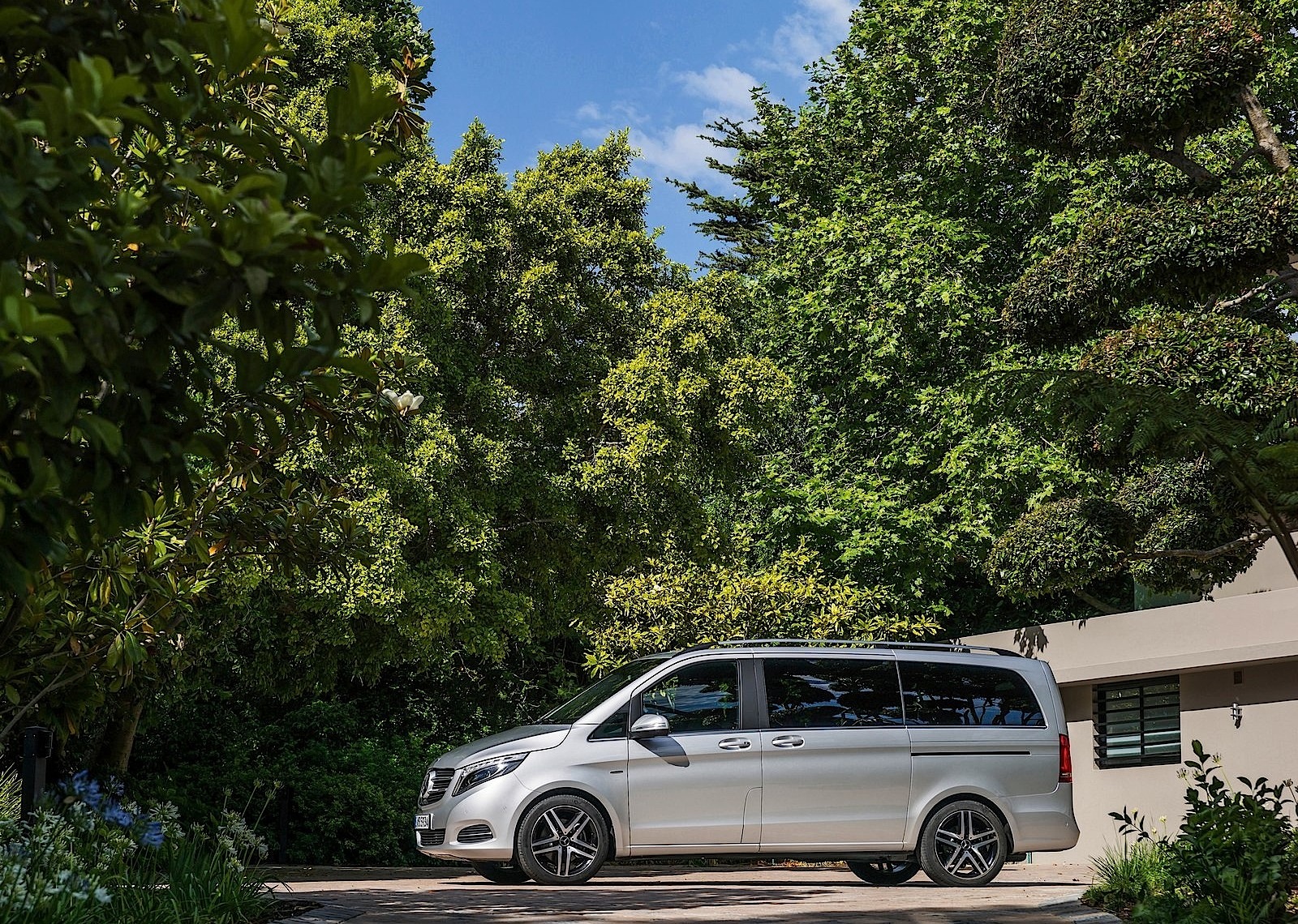 Mercedes Benz V-Class And Predecessors photo 6