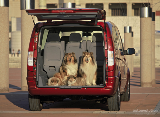 Mercedes Benz Viano photo 3