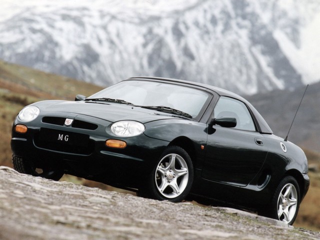 Mg F/ Tf photo 8
