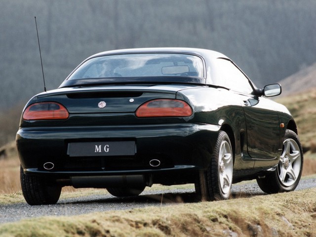 Mg F/ Tf photo 9