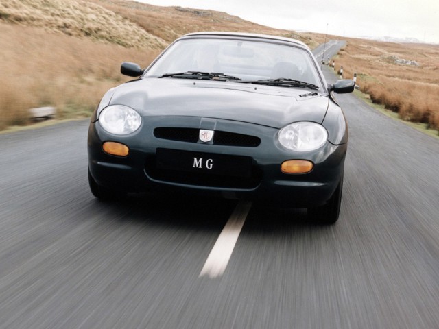 Mg F/ Tf photo 10
