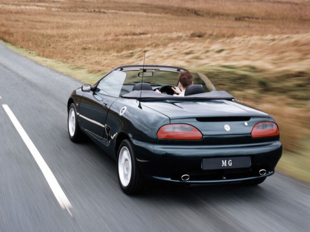 Mg F/ Tf photo 11