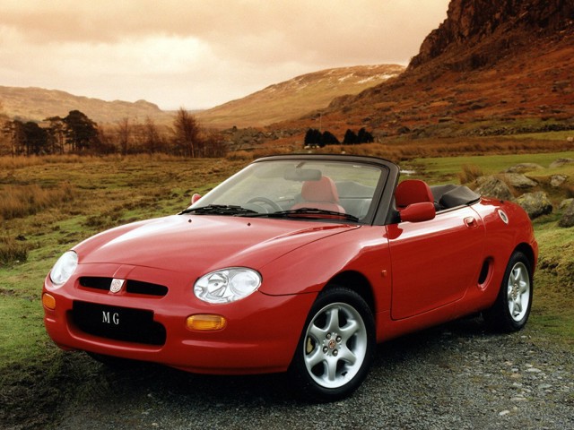 Mg F/ Tf photo 12
