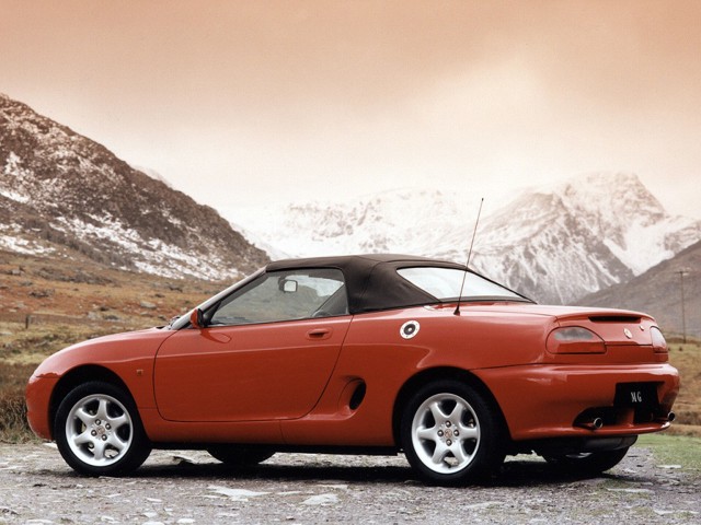 Mg F/ Tf photo 13