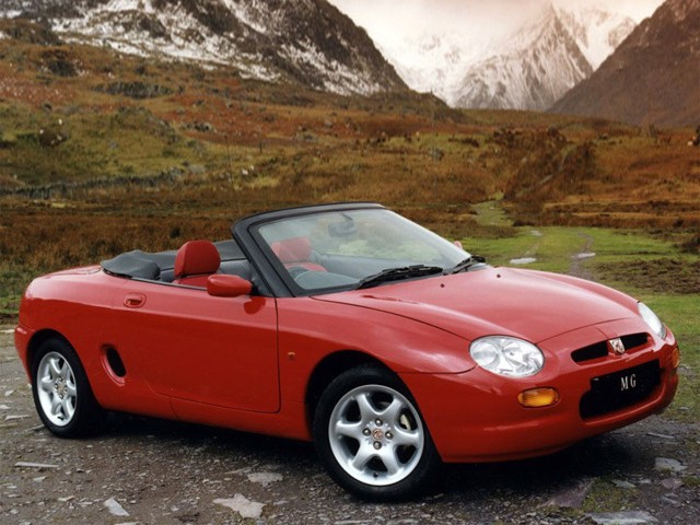 Mg F/ Tf photo 14