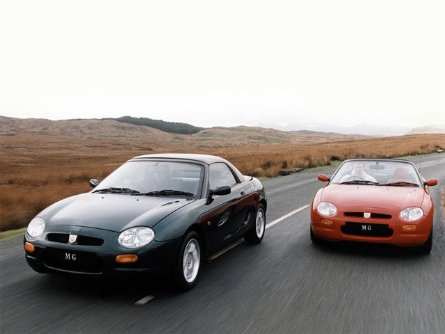 Mg F/ Tf photo 15
