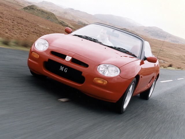 Mg F/ Tf photo 16
