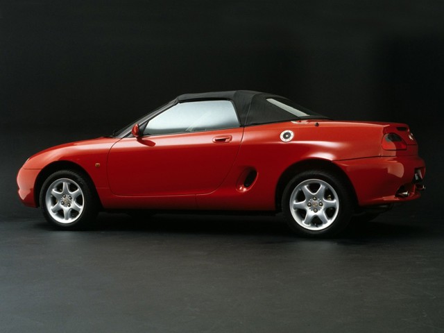 Mg F/ Tf photo 18