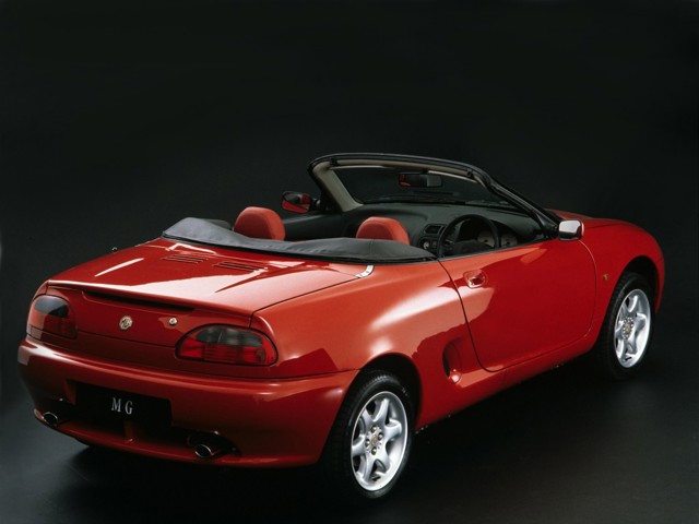 Mg F/ Tf photo 19