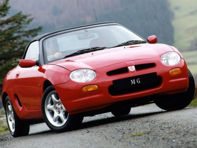 Mg F/ Tf photo 20