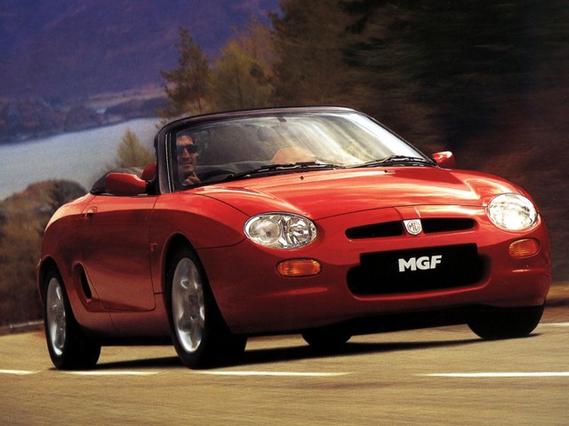 Mg F/ Tf photo 21