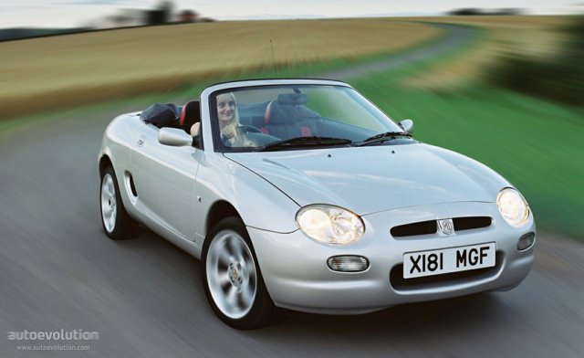 Mg F/ Tf photo 1