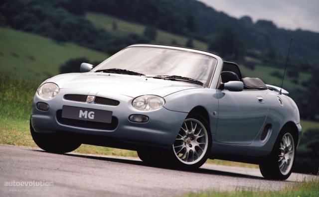 Mg F/ Tf photo 3