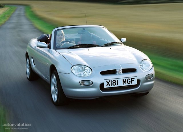 Mg F/ Tf photo 4
