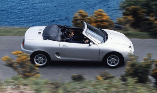 Mg F/ Tf photo 5