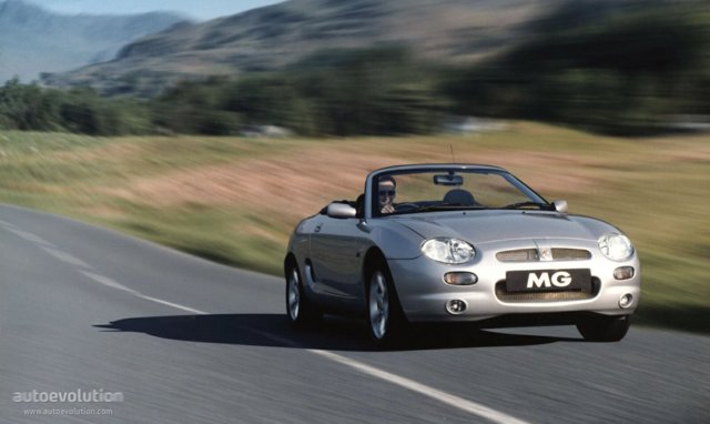 Mg F/ Tf photo 6