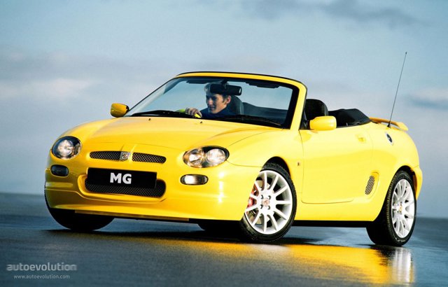 Mg F/ Tf photo 7