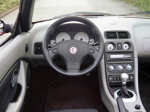 Mg F/ Tf photo 21