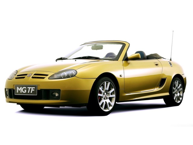 Mg F/ Tf photo 12