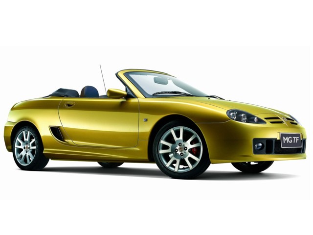 Mg F/ Tf photo 13