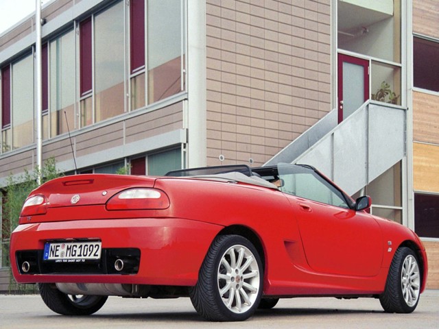 Mg F/ Tf photo 14