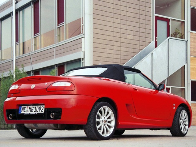 Mg F/ Tf photo 15