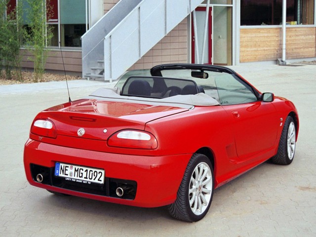 Mg F/ Tf photo 16