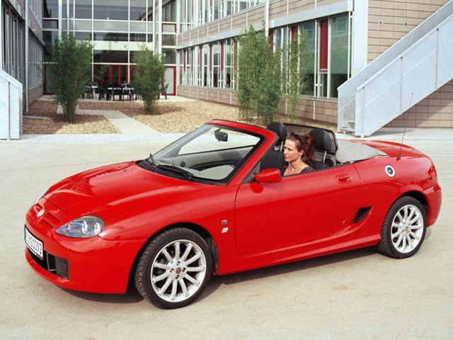 Mg F/ Tf photo 17